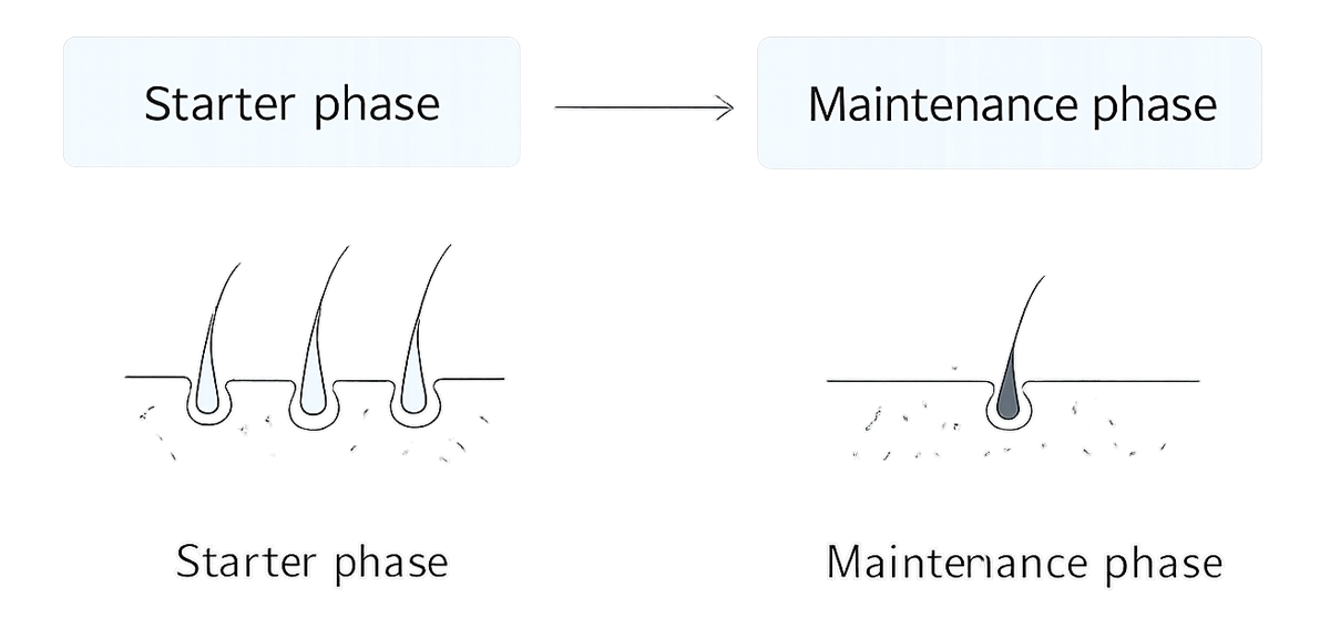 IPL hair removal routine timeline (conceptual): starter phase followed by maintenance phase