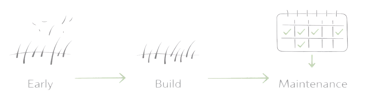 IPL results timeline showing early changes, build phase progress, and maintenance touch-ups